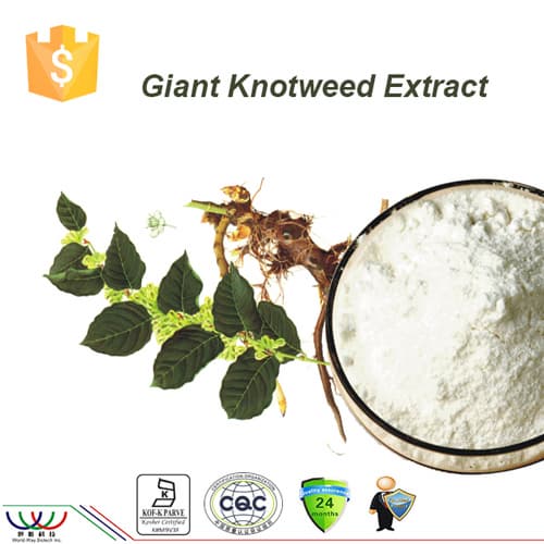 98_ Transresveratrol giant knotweed extract